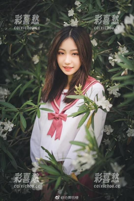 这些壁纸未免太诱人了，沧霁桔梗的黑太子原图放起来真不错！